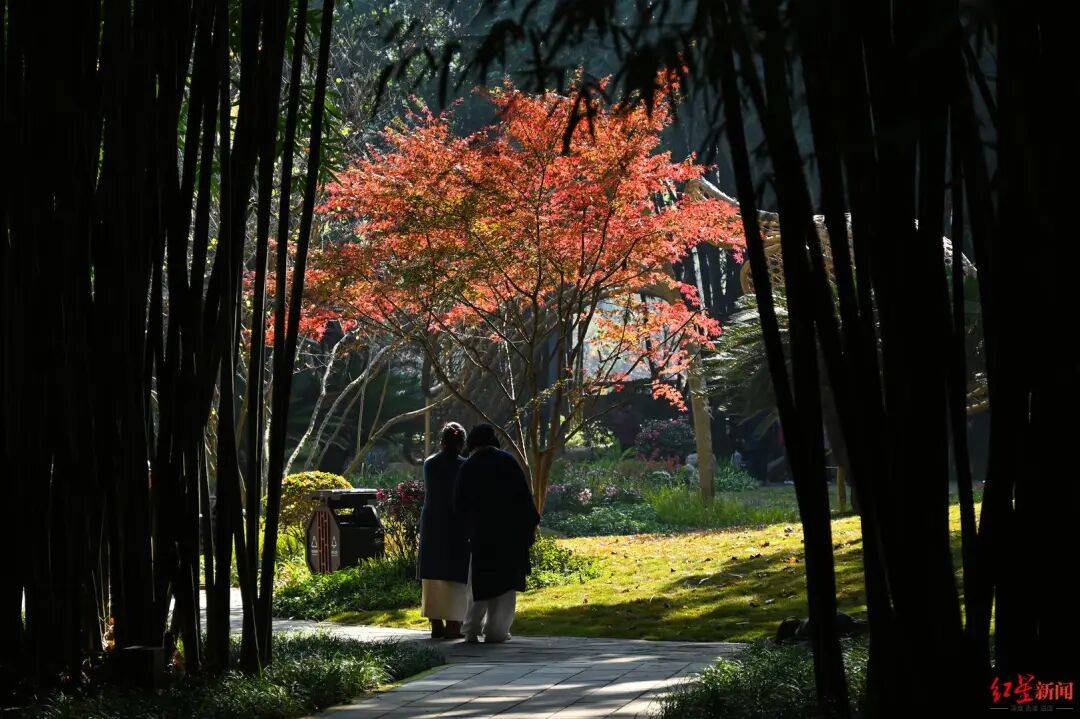 皇冠信用盘账号
_我国已进入拉尼娜状态皇冠信用盘账号
!四川今冬或“前暖后冷”