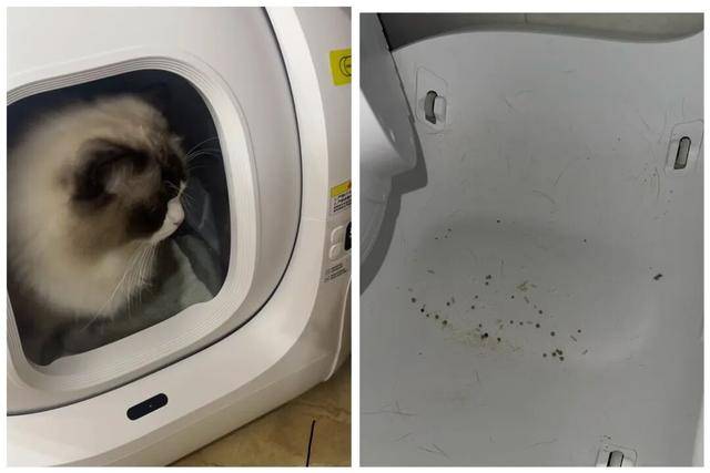 皇冠信用网登123出租
_AI养宠神器皇冠信用网登123出租
,收割年轻人