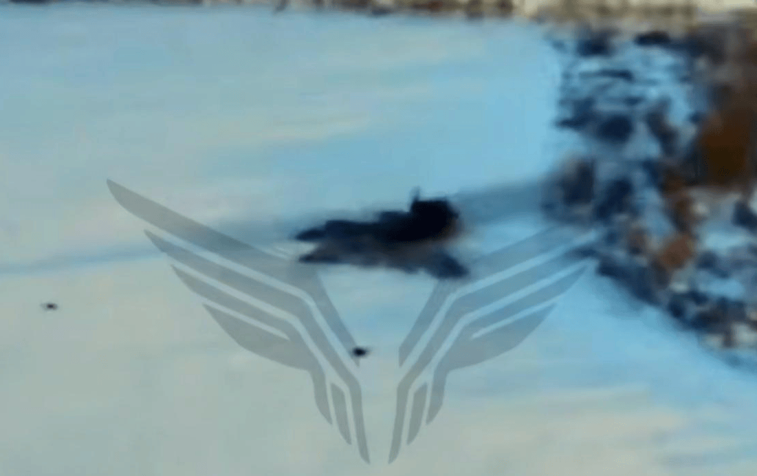 世界杯代理拿盘
_炸爱国者世界杯代理拿盘
,炸海马斯,抓特务,俄军和伊朗都用上星链,一抓一个准